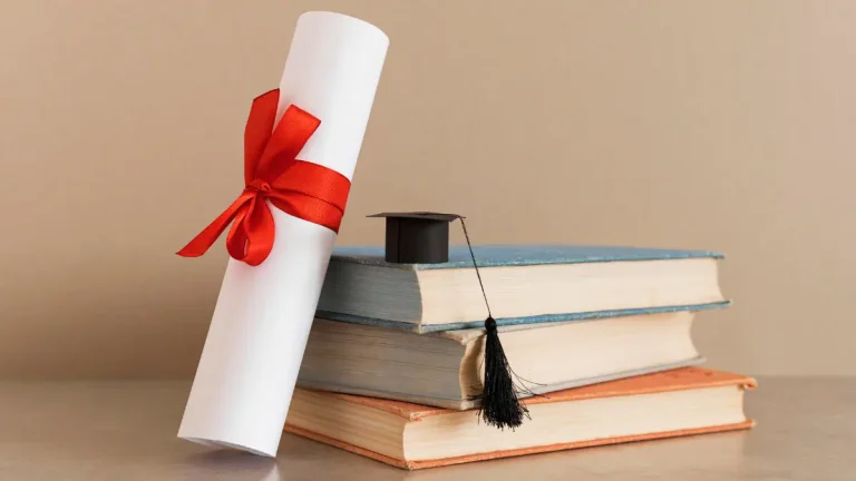 Government vs Private Bursaries: Which One To Choose? Government vs Private Bursaries: Which One To Choose?