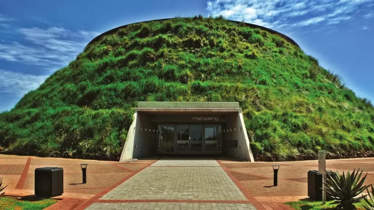 The Cradle of Humankind: Explore This UNESCO Site The Cradle of Humankind: Explore This UNESCO Site