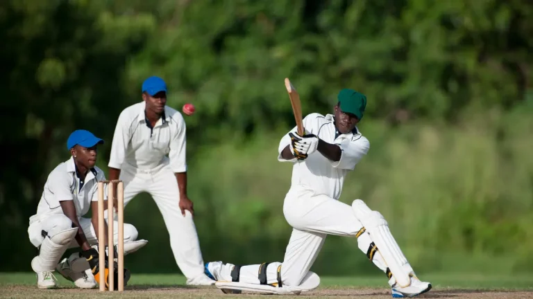 A Look at Gauteng’s Top Cricket Clubs A Look at Gauteng’s Top Cricket Clubs