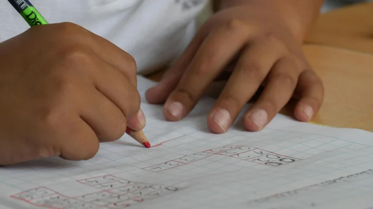 Gauteng School Curriculum in Chaos After Delay – Mid-Year Review Planned Gauteng School Curriculum in Chaos After Delay – Mid-Year Review Planned