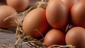 Eggs