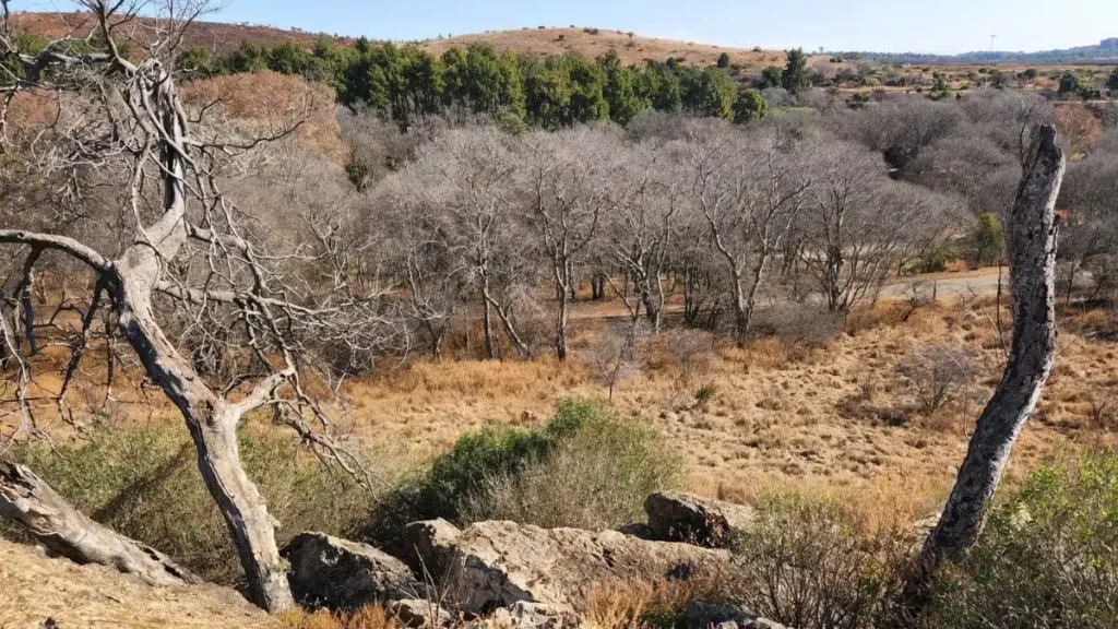Groenkloof Nature Reserve