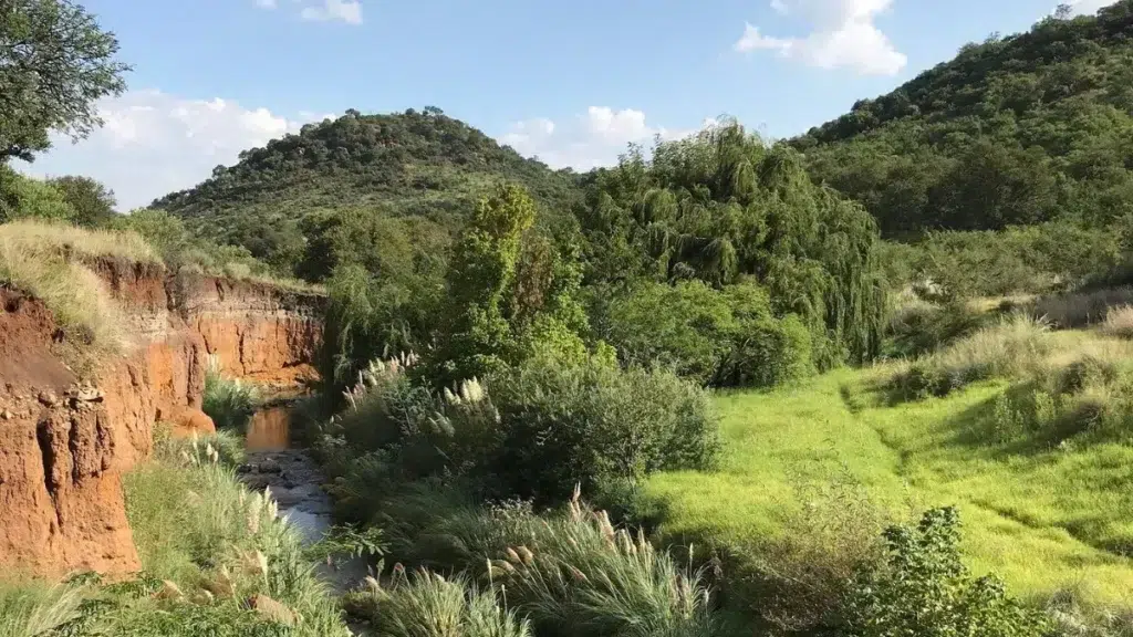 Klipriviersberg Nature Reserve