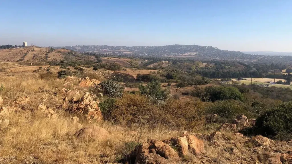 Melville Koppies Nature Reserve