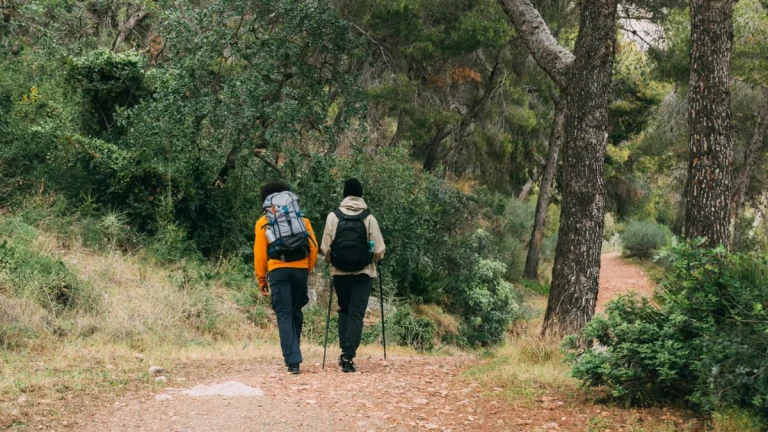 Nature’s Healing Power: Hiking Trails in Gauteng for Mental Wellness People Hiking - Men trekking in nature