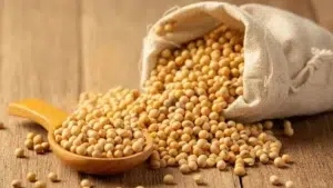 Soya Beans