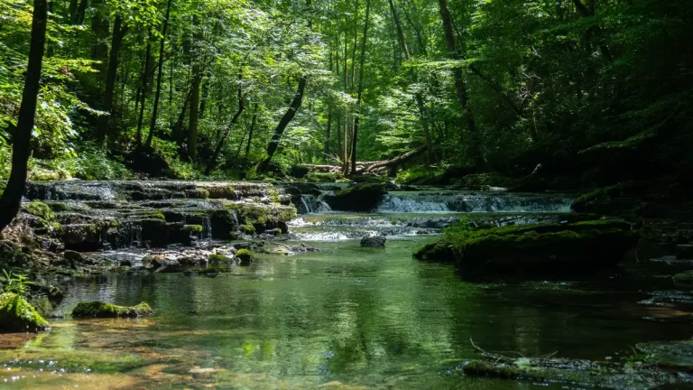 Wild & Free: The Best National Parks & Nature Reserves in Gauteng