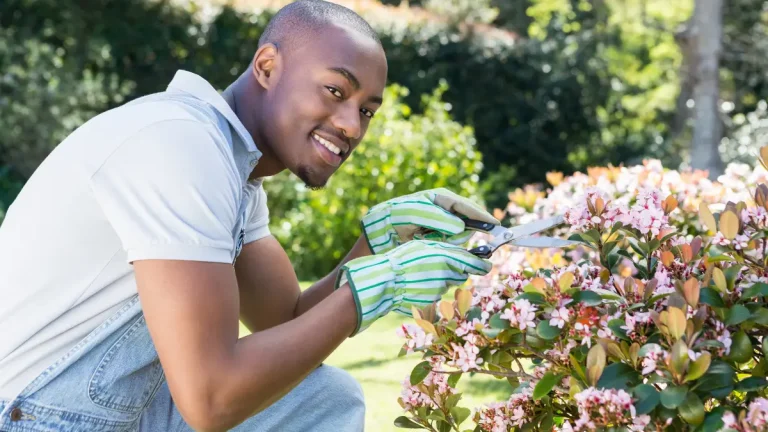 How Gardening Can Improve Your Mental Health gardening mental health