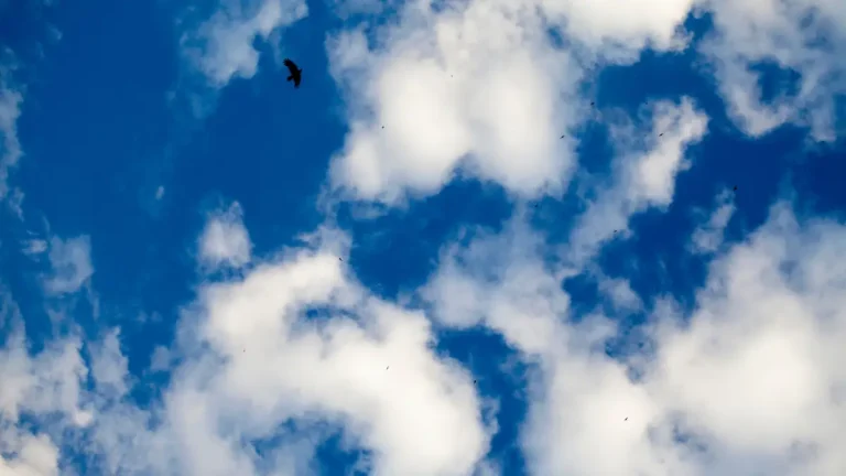 Weather Alert: Perfect Gauteng Conditions for Friday, 23 May 2025 – No Rain in Sight
