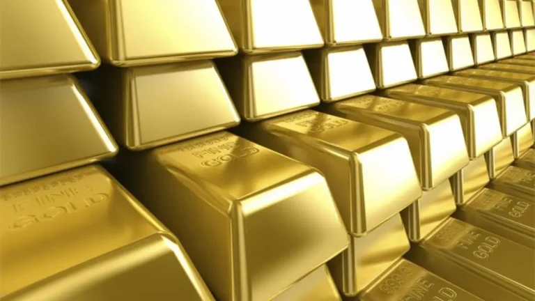Tip-Off Leads to R16 Million Gold Seizure and Arrests on R21 Highway Tip-Off Leads to R16 Million Gold Seizure and Arrests on R21 Highway