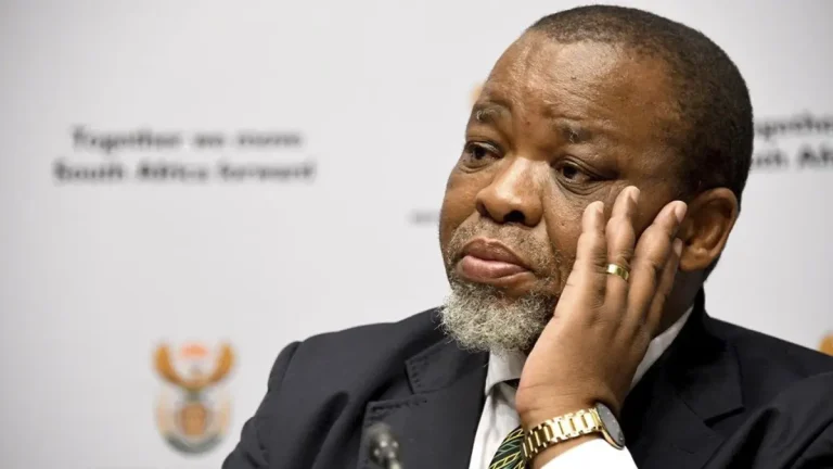 Leadership Abroad: Gwede Mantashe Acts as President Leadership Abroad: Gwede Mantashe Acts as President