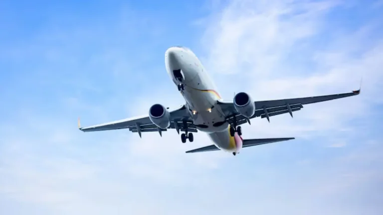 Qantas Launches Direct International Flights In South Africa New International Flight Coming to South Africa This Year