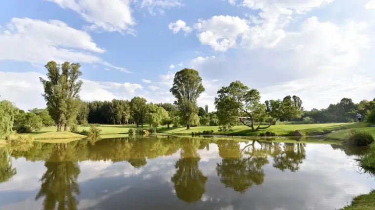 Win Tickets to NIROX Winter Sculpture Fair Win Tickets to NIROX Winter Sculpture Fair
