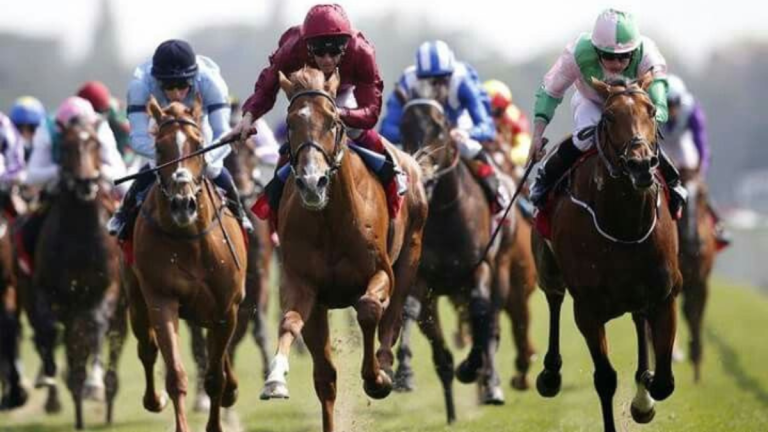 Horse Racing Fixtures in Gauteng: Betting Tips and Events Horse Racing Fixtures in Gauteng: Betting Tips and Events