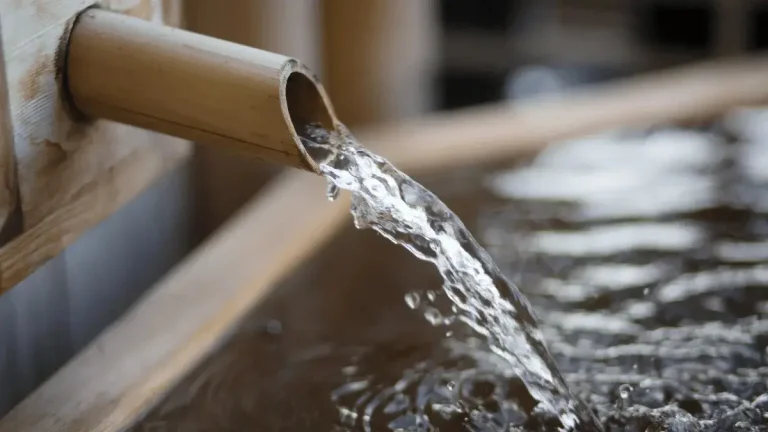 How to Survive the Gauteng Water Crisis: Storage, Saving and Smart Usage Tips for 2025 How to Survive the Gauteng Water Crisis: Storage, Saving and Smart Usage Tips for 2025