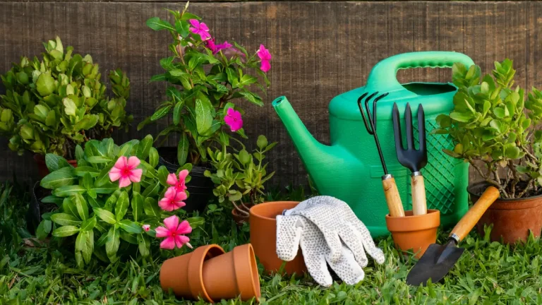 Indoor Gardening: Gauteng’s Guide to Low-Maintenance Houseplants Indoor Gardening: Gauteng’s Guide to Low-Maintenance Houseplants