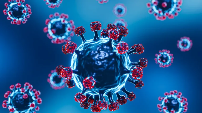 New Covid-19 Variant NB.1.8.1 Spreads in Asia — What It Means for South Africa, Says NICD New Covid-19 Variant NB.1.8.1 Spreads in Asia — What It Means for South Africa, Says NICD