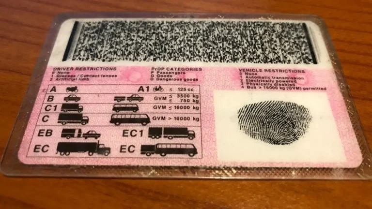 South Africa to Extend Driver’s Licence Validity from 5 to 8 Years South Africa to Extend Driver’s Licence Validity from 5 to 8 Years