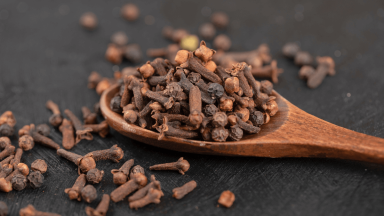5 Surprising Health Benefits of Cloves You Should Know 5 Surprising Health Benefits of Cloves You Should Know