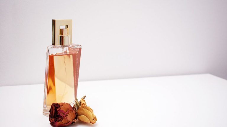 Best Perfume: Scentimental vs Perfumology – Which One Tops the List and Their Prices Best Perfume: Scentimental vs Perfumology – Which One Tops the List and Their Prices