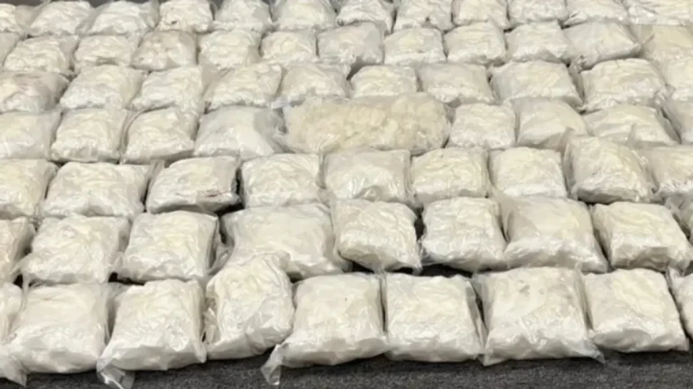 Gauteng Authorities Bust Midrand Drug Operation, Seize Meth and Dagga Gauteng Authorities Bust Midrand Drug Operation, Seize Meth and Dagga