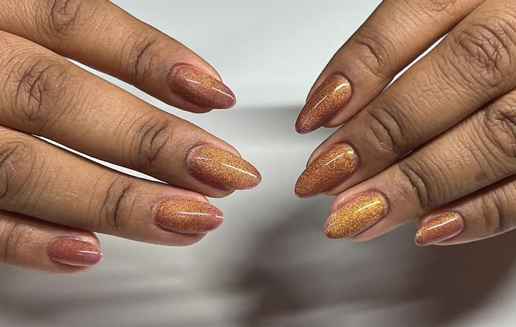 Gauteng News Image