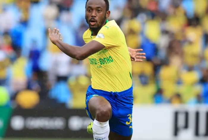 Gauteng News Image