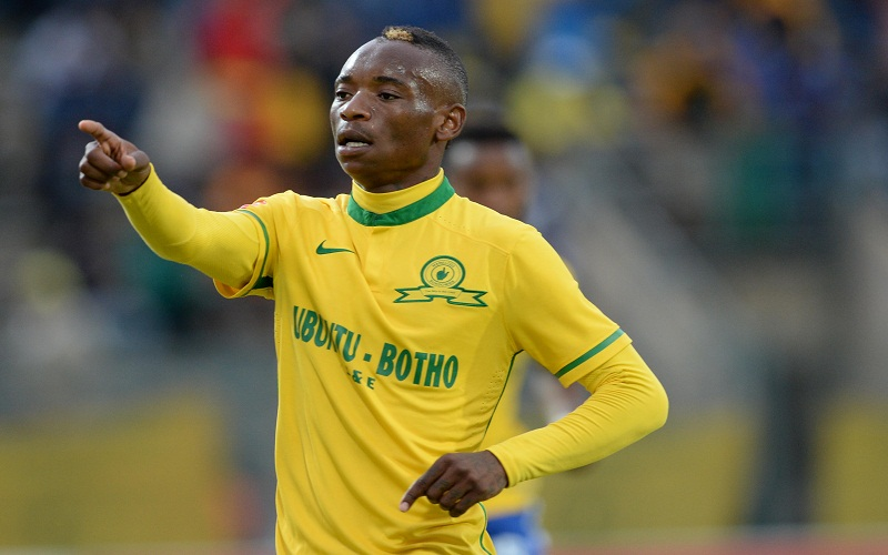 Gauteng News Image