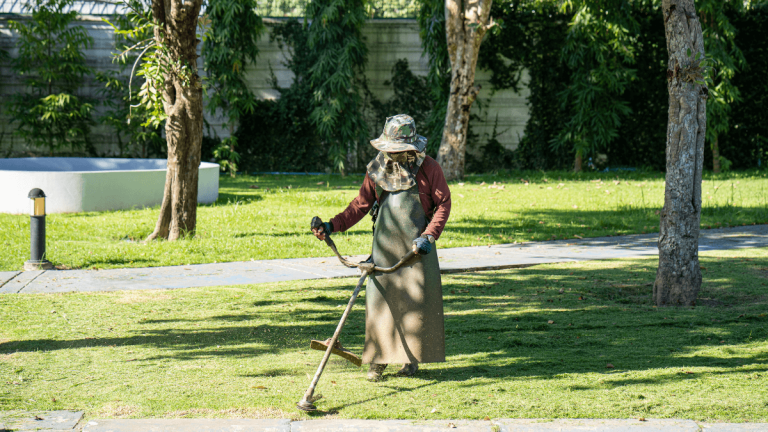 Grounds Keeper Job Opportunities at the Department of Landscape Services (20 Posts) Grounds Keeper Job Opportunities at the Department of Landscape Services (20 Posts)