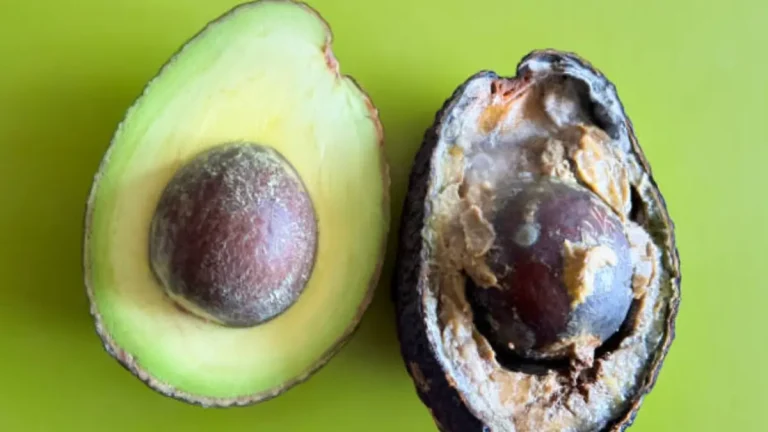 How To Prevent Your Avocado From Turning Brown How To Prevent Your Avocado From Turning Brown
