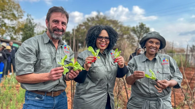 How Vegetable Gardens at Gauteng Clinics Are Changing Lives How Vegetable Gardens at Gauteng Clinics Are Changing Lives