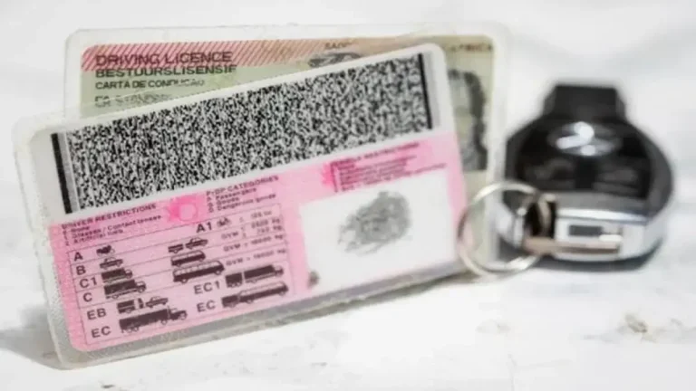 Limited Validity on Driving Licence Cards Fails to Improve Road Safety, Say Experts Limited Validity on Driving Licence Cards Fails to Improve Road Safety, Say Experts