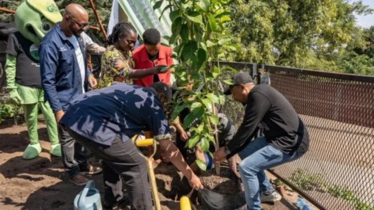 Mandela Day 2025: Johannesburg Leads with Tree Planting, Soup Outreach, and Community Support Mandela Day 2025: Johannesburg Leads with Tree Planting, Soup Outreach, and Community Support