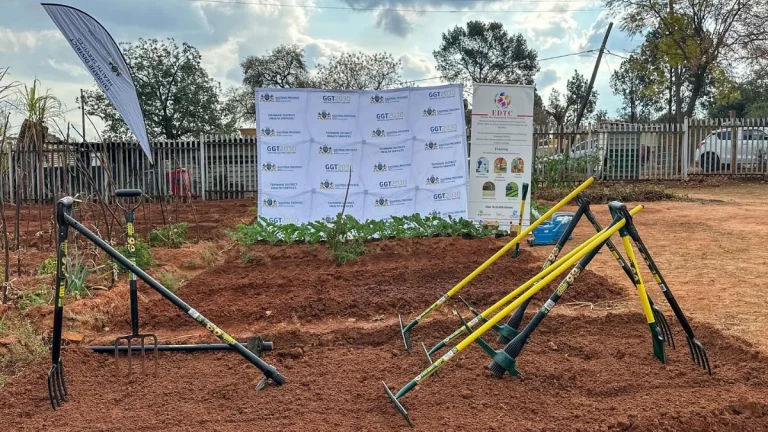 One Clinic, One Garden: A Fight Against Disease and Hunger in Tshwane One Clinic, One Garden: A Fight Against Disease and Hunger in Tshwane