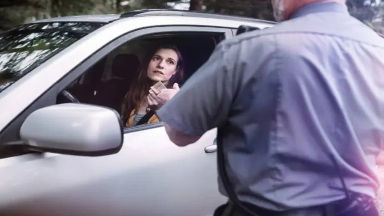 South Africans to Face Fines for Driving Without a Driver’s Licence During Police Stops South Africans to Face Fines for Driving Without a Licence During Police Stops