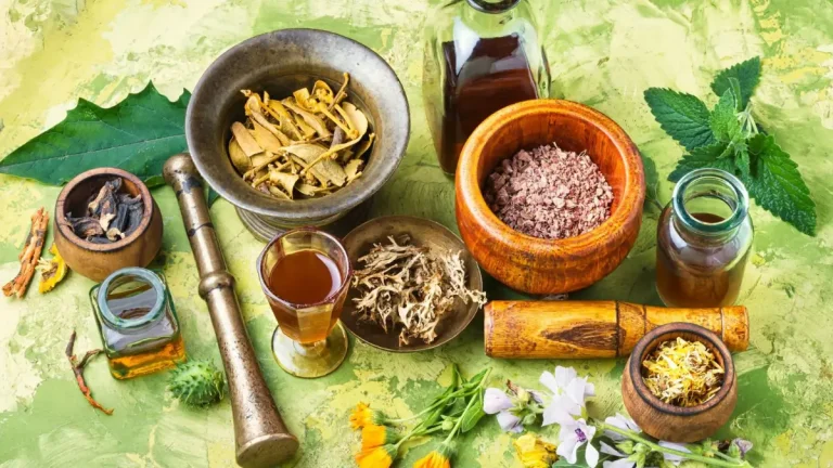 The Role of Traditional Medicine in Modern Gauteng Health Choices The Role of Traditional Medicine in Modern Gauteng Health Choices