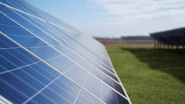 Africa’s Imports of Chinese Solar Panels Jumps 60% Due to Renewables Push Africa’s Imports of Chinese Solar Panels Jumps 60% Due to Renewables Push