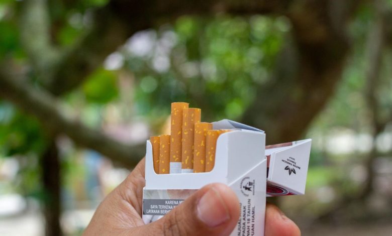 Fake or Legal? How to Identify an Illicit Cigarette Pack