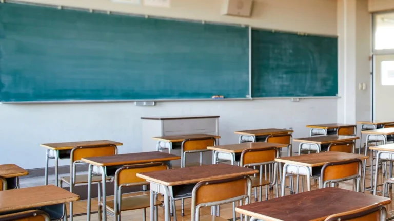 Gauteng Education MEC Commends Police After Student Arrests at Tsakane Secondary Gauteng Education MEC Commends Police After Student Arrests at Tsakane Secondary