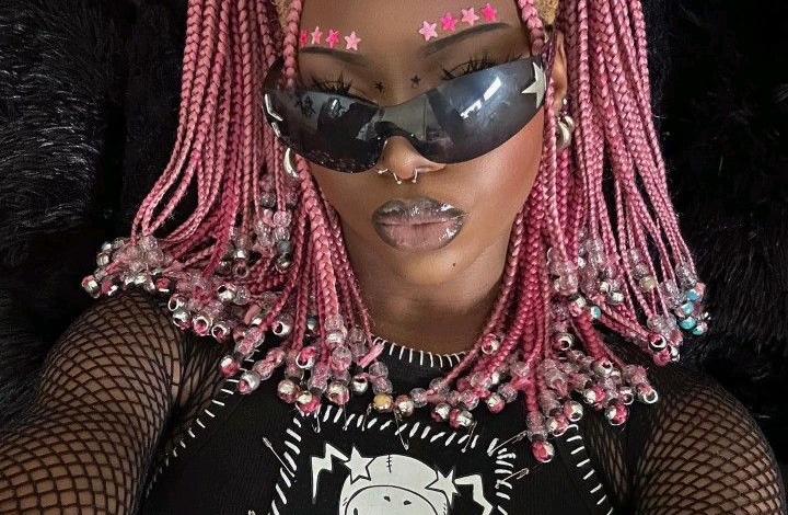 Gauteng News Image The Twin Ponytails