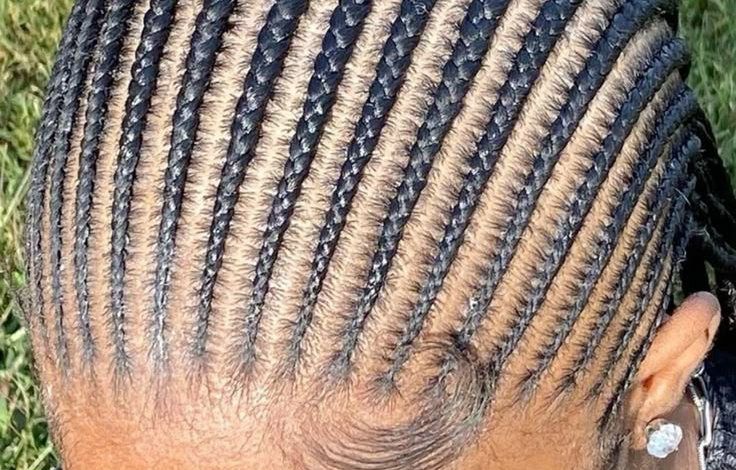 Gauteng News Image