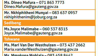 Gauteng News Image