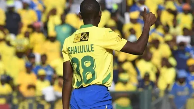 Gauteng News Image