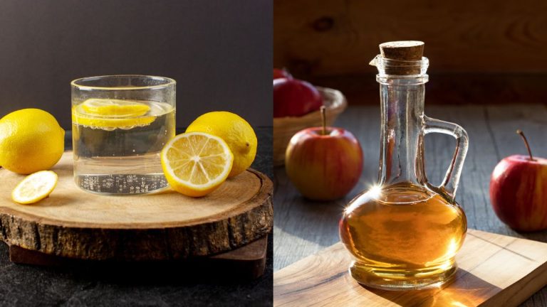 Lemon Water vs Apple Cider Vinegar: Which is More Effective for Weight Loss? Lemon Water vs Apple Cider Vinegar: Which is More Effective for Weight Loss?