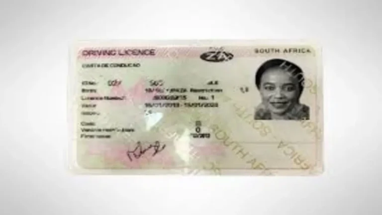 NATIS Online Driving License Booking Limited to Two Provinces NATIS Online Driving License Booking Limited to Two Provinces