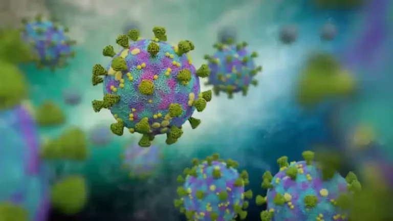 New Covid-19 Variants Detected – What South Africans Need to Know New Covid-19 Variants Detected – What South Africans Need to Know