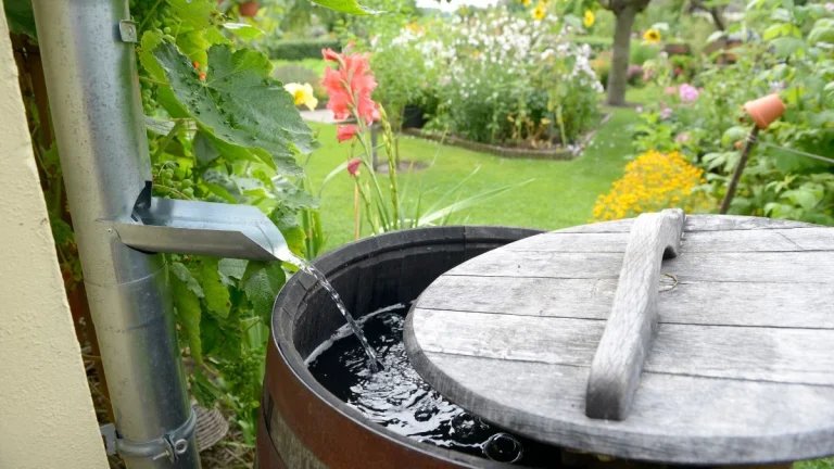 Rainwater Harvesting in Gauteng: A Step-by-Step Guide Rainwater Harvesting in Gauteng: A Step-by-Step Guide