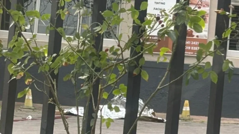 Rosebank Shooting: Police Confirm Body Found on Bath Avenue Rosebank Shooting: Police Confirm Body Found on Bath Avenue