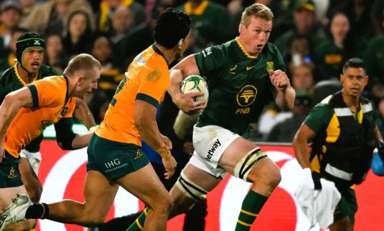 Springboks vs Wallabies: 4 Factors That Could Shape the Cape Town Test