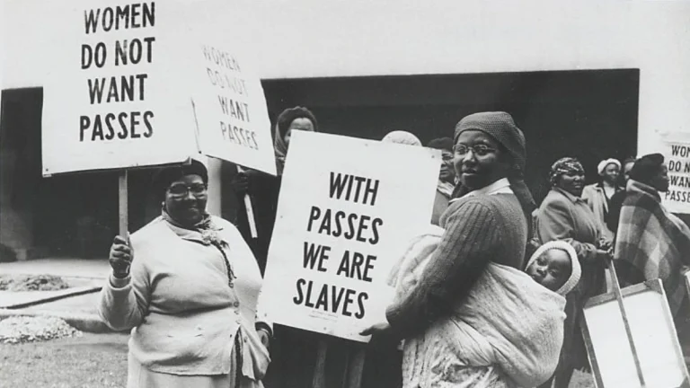 The History of Women’s Day in South Africa: Why It Still Matters The History of Women’s Day in South Africa: Why It Still Matters